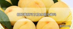 新鲜黄桃可以放冰箱冷藏吗