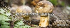 松茸外面的黑色东西能吃吗