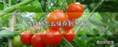 西红柿怎么保存到冬天吃