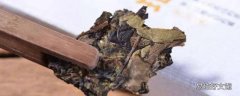 茶饼发霉了还可以喝吗