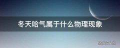 冬天哈气属于什么物理现象