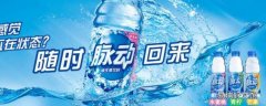 脉动一箱多少瓶