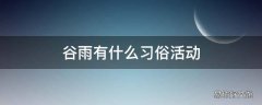 谷雨有什么习俗活动