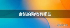 会跳的动物有哪些