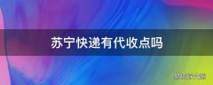 苏宁快递有代收点吗
