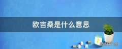 欧吉桑是什么意思