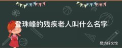 登珠峰的残疾老人叫什么名字