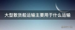 大型散货船运输主要用于什么运输