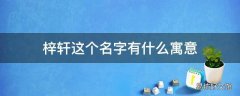 梓轩这个名字有什么寓意