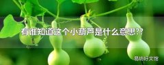 有谁知道这个小葫芦是什么意思??