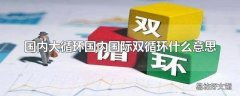 国内大循环国内国际双循环什么意思