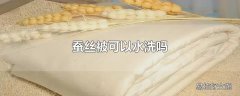 蚕丝被可以水洗吗