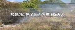 放鞭炮点燃了草丛,怎样正确灭火