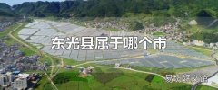东光县属于哪个市 东光县的面积有多大