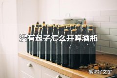 没有起子怎么开啤酒瓶 啤酒瓶盖的材质