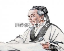 张仲景活了多少岁 张仲景是哪里人