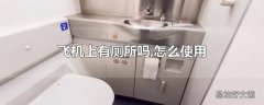 飞机上有厕所吗,怎么使用