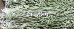 苔干是莴笋吗