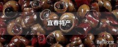 宜春特产