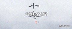 小寒开什么花
