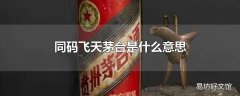 同码飞天茅台是什么意思