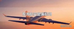 东海航空是廉航吗