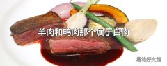 羊肉和鸭肉那个属于白肉