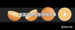 美国花脐橙是哪种水果