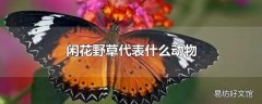 闲花野草代表什么动物