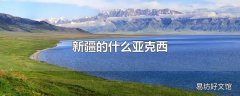 新疆的什么亚克西