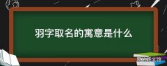 羽字取名的寓意是什么