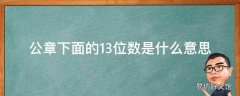 公章下面的13位数是什么意思?