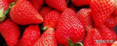 草莓的形状和特征怎么描述