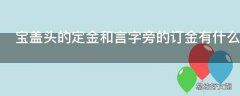 宝盖头的定金和言字旁的订金有什么区别