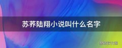 苏荞陆翔小说叫什么名字