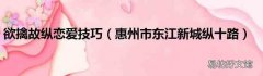 惠州市东江新城纵十路 欲擒故纵恋爱技巧
