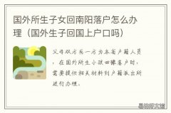 国外所生子女回南阳落户怎么办理 国外生的孩子怎么回国落户