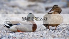 脚起泡怎么办 糖尿病人脚起泡怎么办
