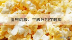 世界雨极、干极分别在哪里 世界干极和雨极分别在哪里