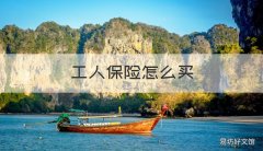 工人保险怎么买 伐木工人保险怎么买