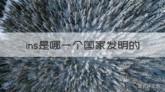 ins是哪一个国家发明的 ins都有哪些国家在用