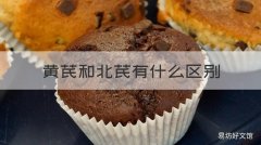 黄芪和北芪有什么区别 黄芪和北芪有什么区别图片