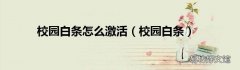 校园白条 校园白条怎么激活