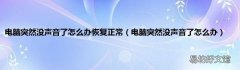 电脑突然没声音了怎么办 电脑突然没声音了怎么办恢复正常