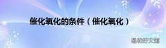催化氧化 催化氧化的条件
