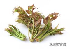 吃香椿会中毒吗 香椿中毒怎么办