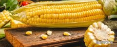 黏玉米和水果玉米哪个减肥好 水果玉米可以代替主食吗